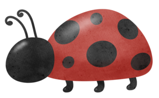 mano disegnare coccinella, clipart, illustrazione, insetti png