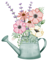 Hand draw spring flowers in old watering can png