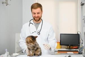 gato visitando veterinario para regular chequeo foto