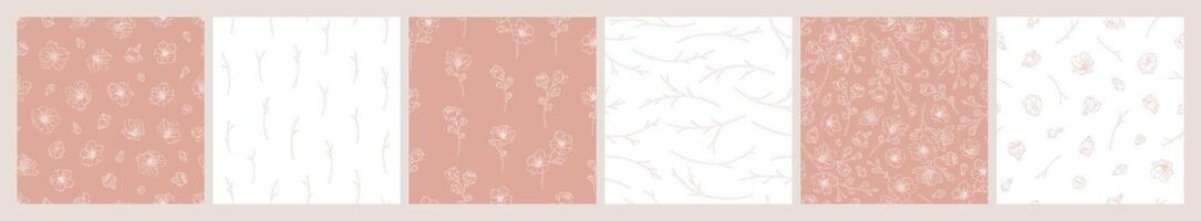 Set of seamless patterns with blooming apricot flowers vector