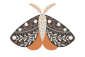 mariposa icono con floral ornamento. Clásico místico mariposa o polilla. volador celestial insecto, vector ilustración