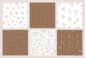 Set of seamless patterns with blooming apricot flowers vector