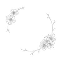 Wreath of blossom apricot flowers, buds and branches, vector illustration. Frame with spring flowers cherry or peach tree. Line art style