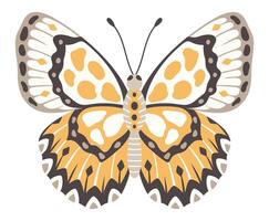 Butterfly vector illustration. Colourful wings with ornament, front view, a symbol for tattoo design. Summer background, fly insect