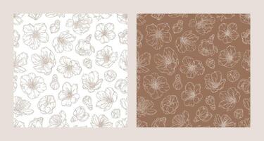 Set of seamless patterns with blooming apricot flowers vector