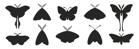 Clásico mariposa siluetas conjunto aislado en un blanco antecedentes. sencillo negro mariposas y polillas vector ilustración, insecto íconos