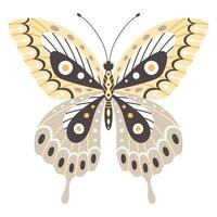 Butterfly vector illustration. Colourful wings with wave and dots abstract ornament, front view, a symbol for tattoo design. Summer background, fly insect