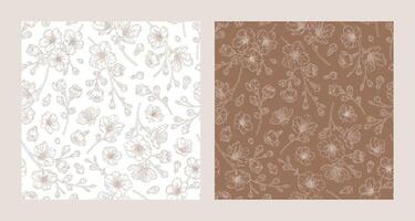 Set of seamless patterns with blooming apricot flowers vector