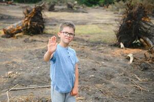 the concept of nature protection. Deforestation. photo