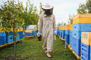 Beekeeper is working with bees and beehives on apiary. Bees on honeycomb. Frames of bee hive. Beekeeping. Honey. Healthy food. Natural products. photo