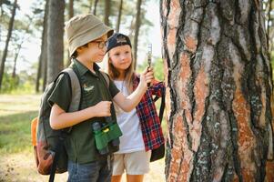 Boy and girl with backpacks looking examining tree bark through magnifying glass while exploring forest nature and environment on sunny day during outdoor ecology school lesson. photo