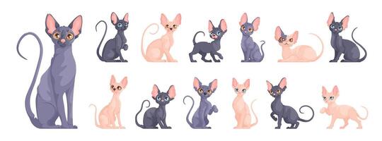 A large set of Sphynx kittens in different dynamic poses. Cute Sphynx cat sits, stands and lies. Cartoon vector style.