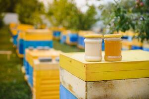 Honey jar and beehives on meadow in springtime. Apiculture and honey production. Healthy and organic natural food. Sweet food. photo