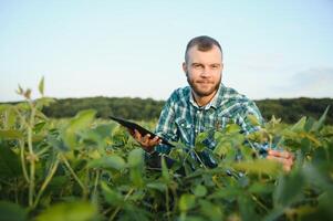 Farm worker controls development of soybean plants. Agronomist checking soya bean crops growing in the field photo