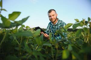 Young agronomist holds tablet touch pad computer in the soy field and examining crops before harvesting. Agribusiness concept. agricultural engineer standing in a soy field with a tablet in summer. photo