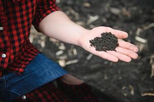 Farmer's hands hold a handful of fertile soil. The concept of agriculture, agribusiness. The gardener holds humus, fertilized soil, compost soil in his palms. Agriculture and fertility. photo