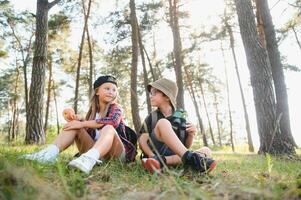 niños exploradores en el bosque. foto