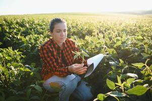 A female farmer in soybean field photo