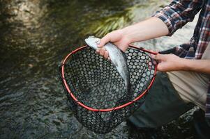 trout being caught in fishing net. photo