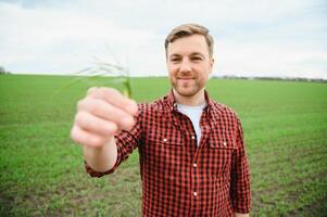 Young farmer stands in the green field checking and waiting for harvest to grow. photo
