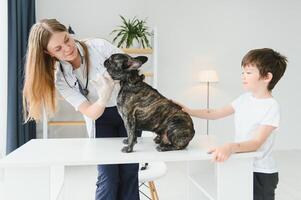 The boy with his dog to the vet. French bulldog in a vet clinic. photo