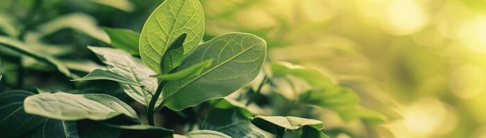 AI generated Close-up of a green bond certificate, symbolizing investment in sustainable projects, with a leafy background photo