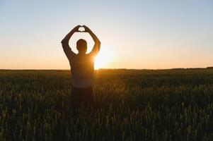 Sunrise or sunset picture of guy with raised hands looking at sun and enjoying daytime. Adult man stand alone in middle of ripe wheat field. Farmer or egricultural guy photo