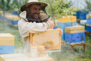 Beekeeper is working with bees and beehives on the apiary. Beekeeping concept photo