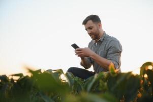 Agronomist inspecting soya bean crops growing in the farm field. Agriculture production concept. young agronomist examines soybean crop on field in summer. Farmer on soybean field. photo