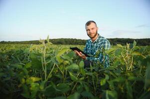 Young agronomist holds tablet touch pad computer in the soy field and examining crops before harvesting. Agribusiness concept. agricultural engineer standing in a soy field with a tablet in summer. photo