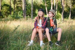 niña y chico explorar sentado y Bebiendo caliente té desde termo en el bosque foto