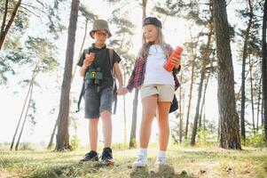 Two happy children having fun during forest hike on beautiful day in pine forest. Cute boy scout with binoculars during hiking in summer forest. Concepts of adventure, scouting and hiking tourism photo