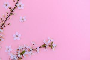 Spring background table. May flowers and April floral nature on green. For banner, branches of blossoming cherry against background. Dreamy romantic image, landscape panorama, copy space photo