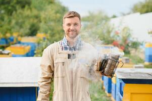 Beekeeper is working with bees and beehives on the apiary. Beekeeping concept photo