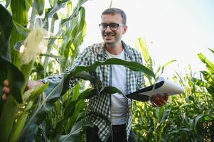 granjero inspeccionando maíz a su campo foto