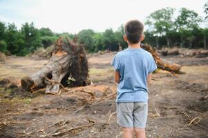 the concept of nature protection. Deforestation. photo