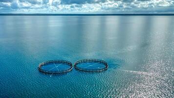 Aerial view of fish farm in County photo