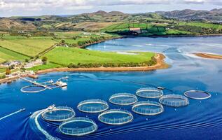 Aerial view of fish farm in County photo