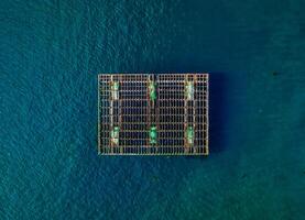 Aerial view of mussel farm platforms fishing industry aquaculture seafood production in O Grove Ria de Arousa Galicia Spain Europe photo