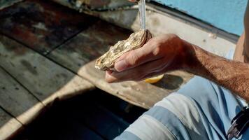 A man shucking an oyster and preparing them to be cooked. photo