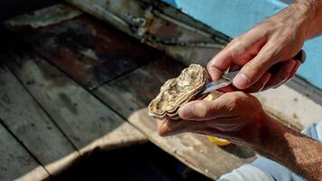 A man shucking an oyster and preparing them to be cooked. photo