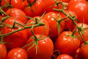 Fresh red organic cherry tomatoes on the counter in the supermarket. photo