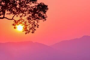 Silhouette branch tree over mountain at sunset. photo