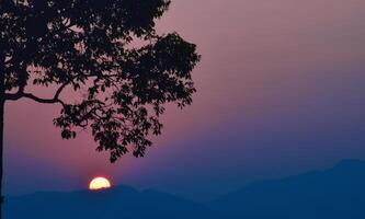 silueta rama árbol terminado montaña a puesta de sol. foto