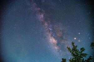 Landscape with Milky way galaxy over tree. Night sky with stars. Long exposure photograph. photo