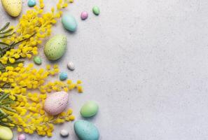 Pastel Easter Eggs and Yellow Mimosa Flowers on a Light Grey Background photo