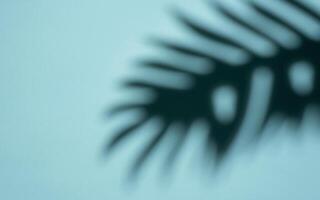 Abstract Shadow of a Tropical Leaf on a Light Blue Background in Soft Focus photo