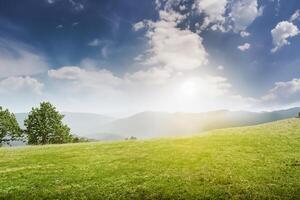 beautiful landscape with green meadow photo