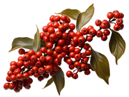 AI generated Red Coffee Beans on a Branch with Leaves Isolated on Transparent Background. Coffee Berries. Generative Ai png