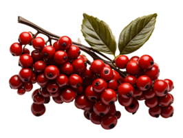 AI generated Red Coffee Beans on a Branch with Leaves Isolated on Transparent Background. Coffee Berries. Generative Ai png